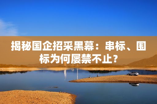 揭秘国企招采黑幕：串标、围标为何屡禁不止？