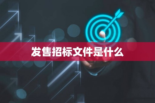 发售招标文件是什么