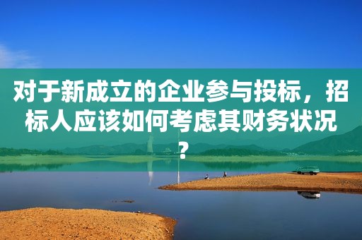 对于新成立的企业参与投标，招标人应该如何考虑其财务状况？