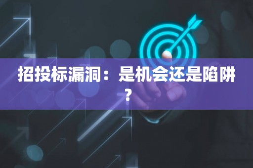 招投标漏洞：是机会还是陷阱？