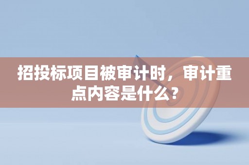 招投标项目被审计时，审计重点内容是什么？