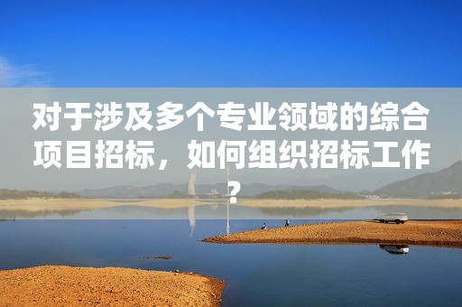 对于涉及多个专业领域的综合项目招标，如何组织招标工作？