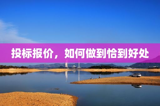 投标报价，如何做到恰到好处