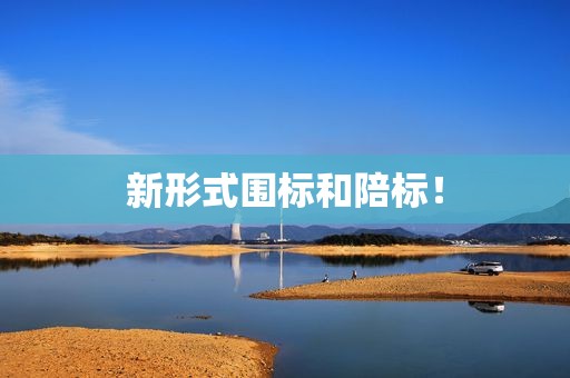 新形式围标和陪标！